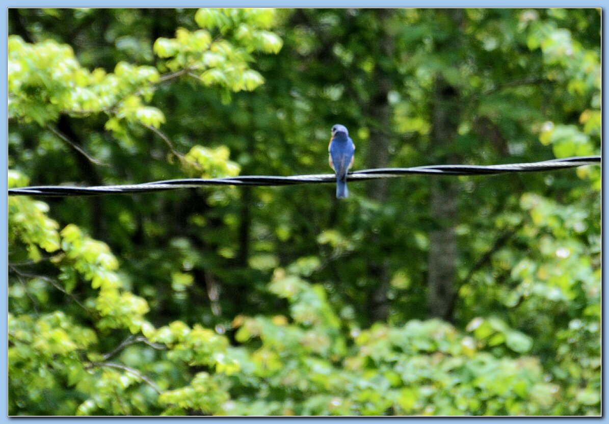 DSC_4641