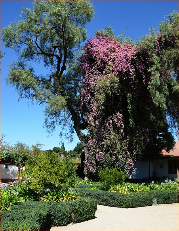 Vineyard3-porch3