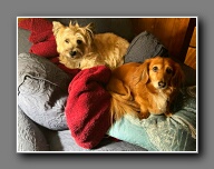 [Click to enlarge image]