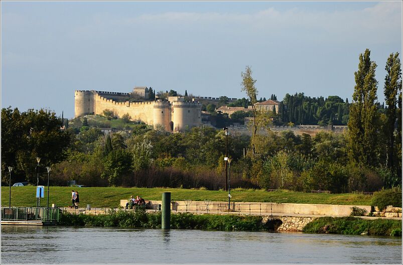 Avignon from Napoleon