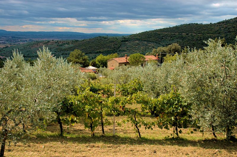 Cortona010