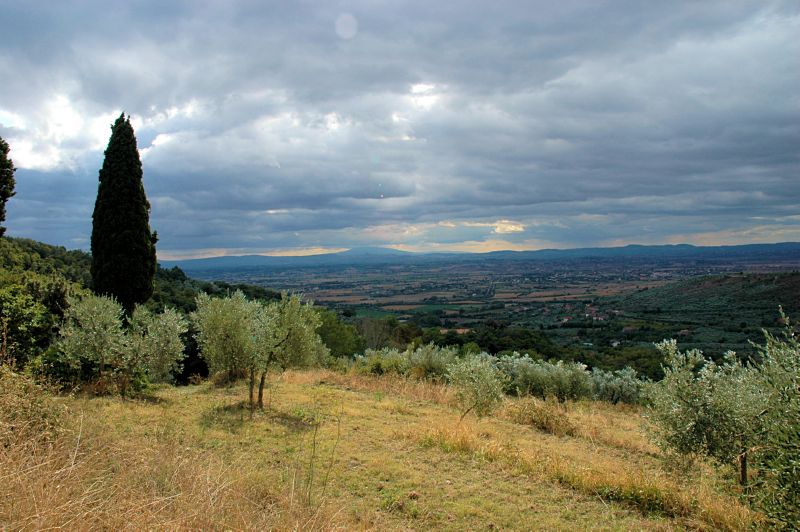 Cortona013