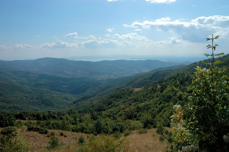 Cortona014