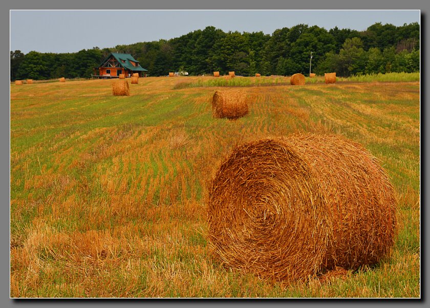 Bales