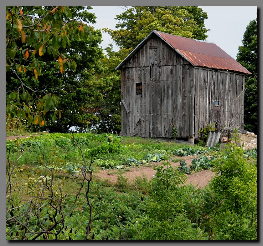 Barn-3