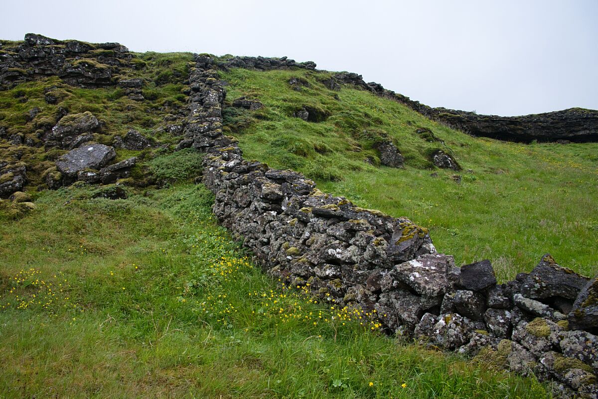DSC_0197