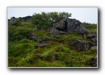 Click to enlarge
