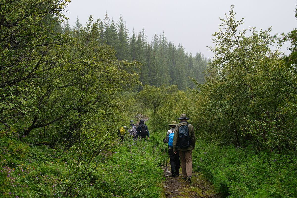 DSC_0321