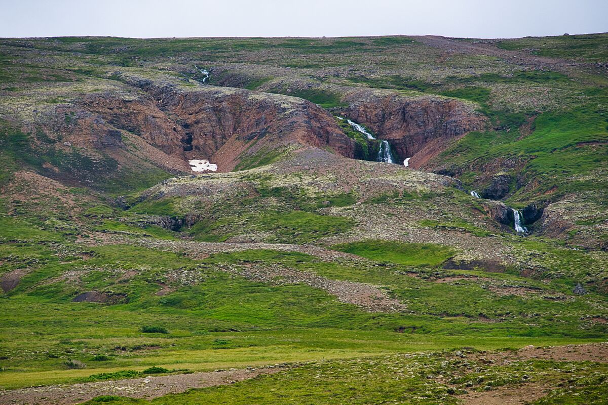 DSC_0401