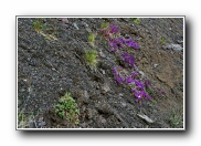 Click to enlarge
