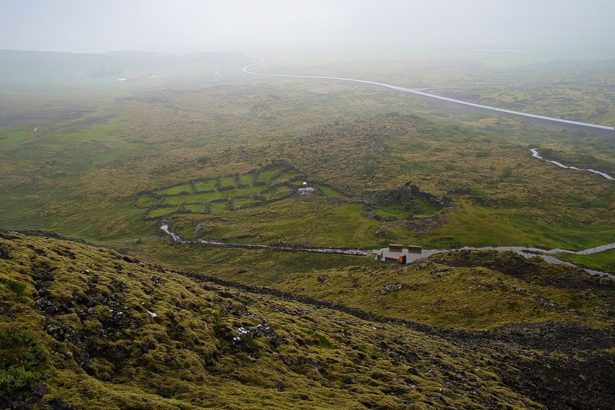 DSC_0464