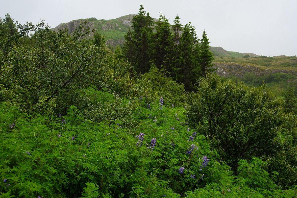 DSC_0489