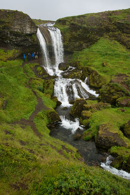 DSC_0514
