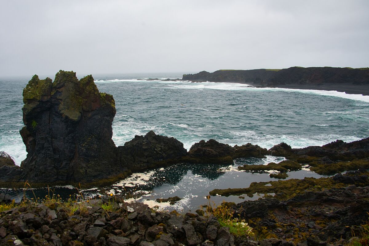DSC_0548