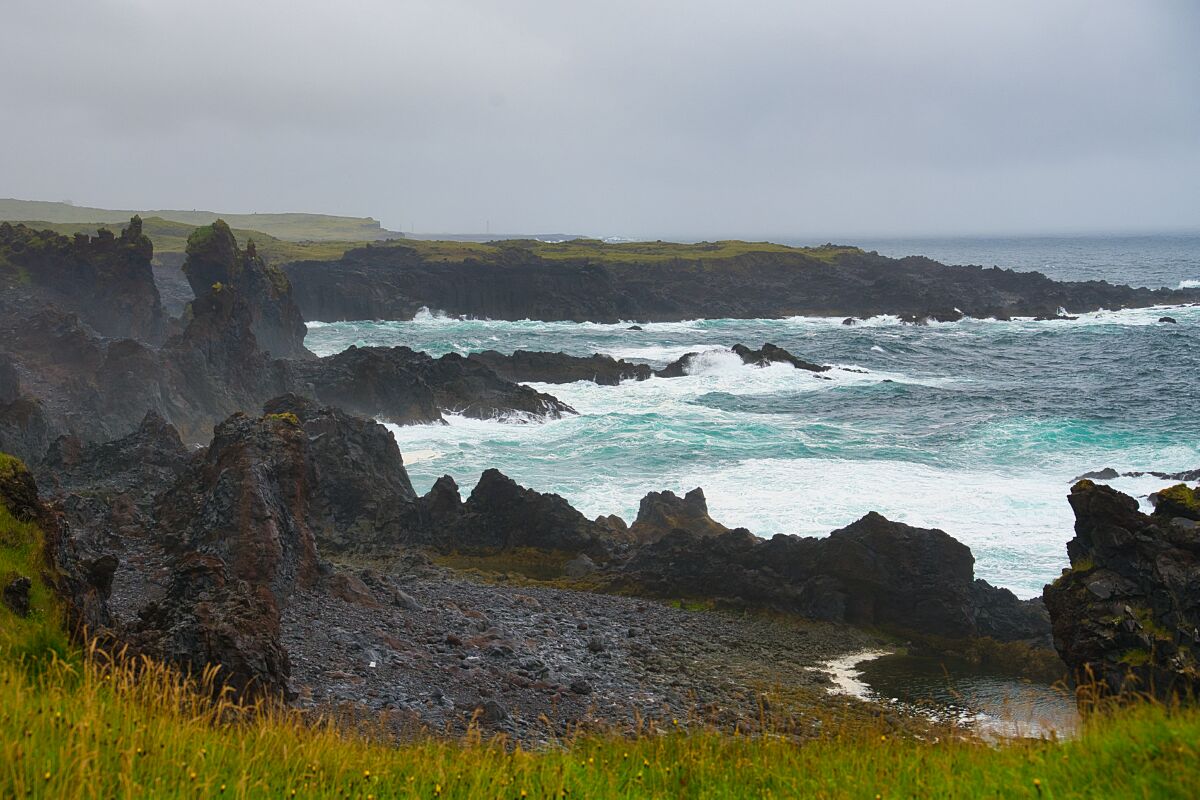DSC_0556