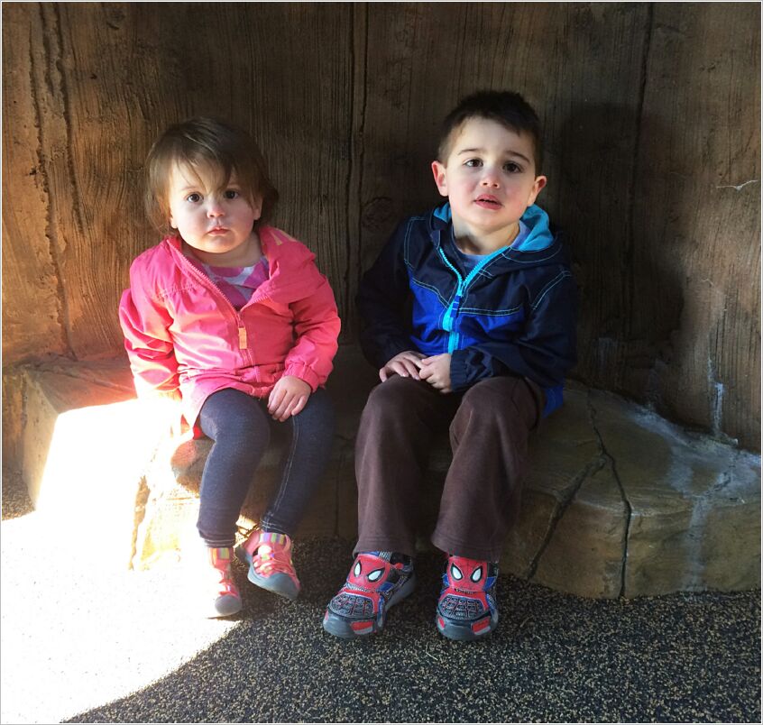 Inside the big tree at Home of The Brave park