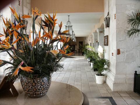 Resort lobby