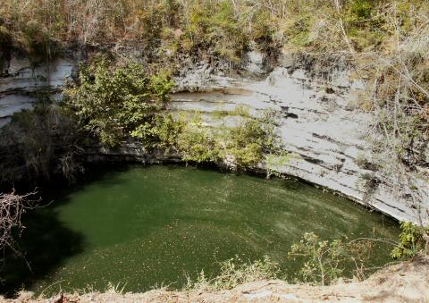 Grand Cenote (natural sink hole)