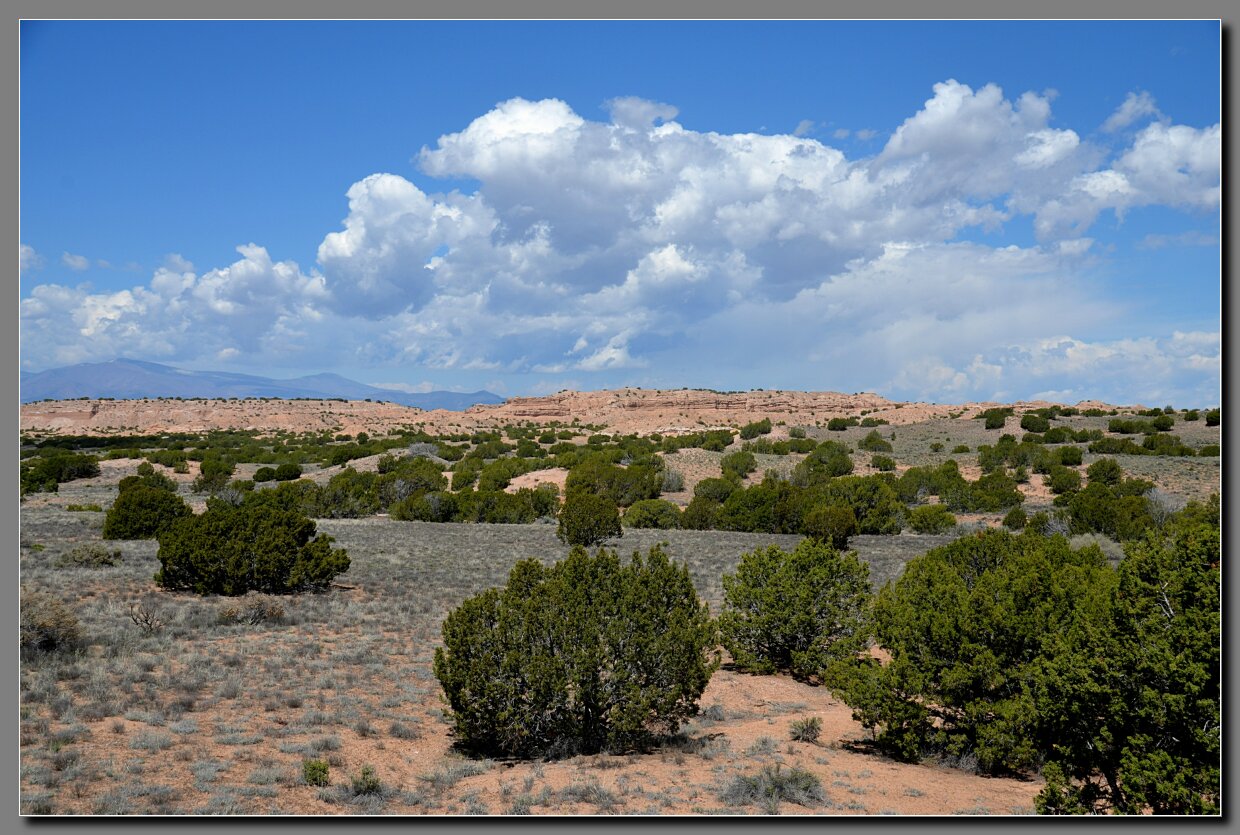 Through low desert