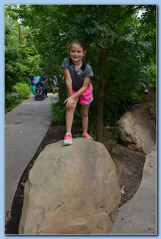 Zoo_Kenz_rock