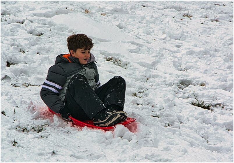 Sled_Greyson_01